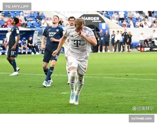 霍芬海姆中场贝尔纳多抢断数据领跑联赛