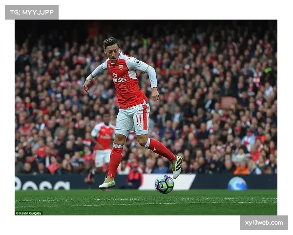 热刺丹索乌多吉同时伤缺 左路防守完全陷入真空状态