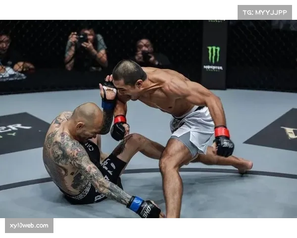 凯利简化防守规则，三条可执行要点显著降低失分